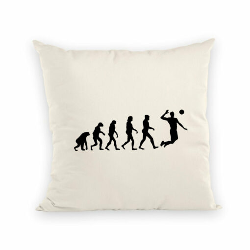 Coussin Evolution volley