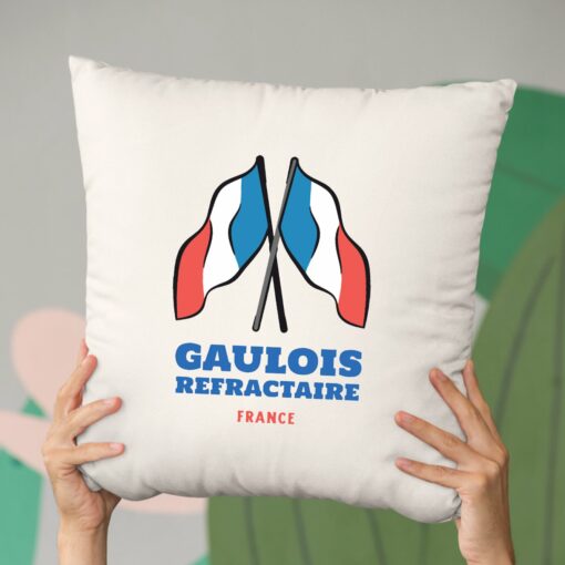 Coussin Gaulois refractaire