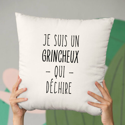 Coussin Grincheux qui dechire