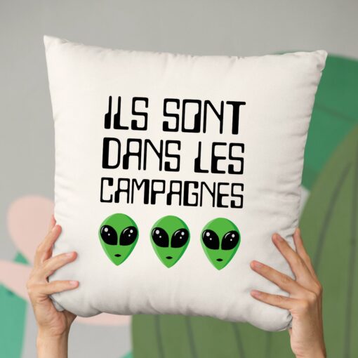 Coussin Ils sont dans les campagnes