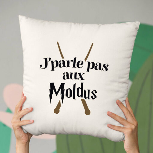 Coussin J’parle pas aux Moldus