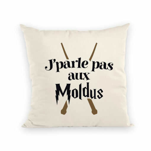 Coussin J’parle pas aux Moldus