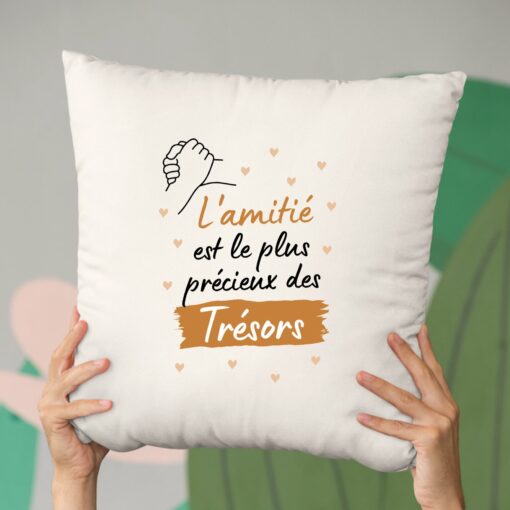 Coussin L’amitie le plus precieux des tresors