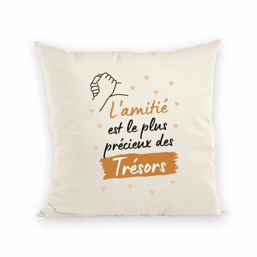 Coussin L’amitie le plus precieux des tresors