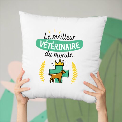 Coussin Le meilleur veterinaire du monde