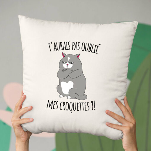 Coussin T’aurais pas oublie mes croquettes