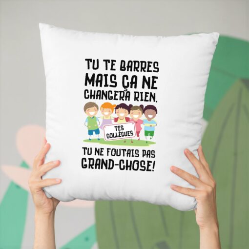 Coussin Tu te barres mais ca ne changera rien