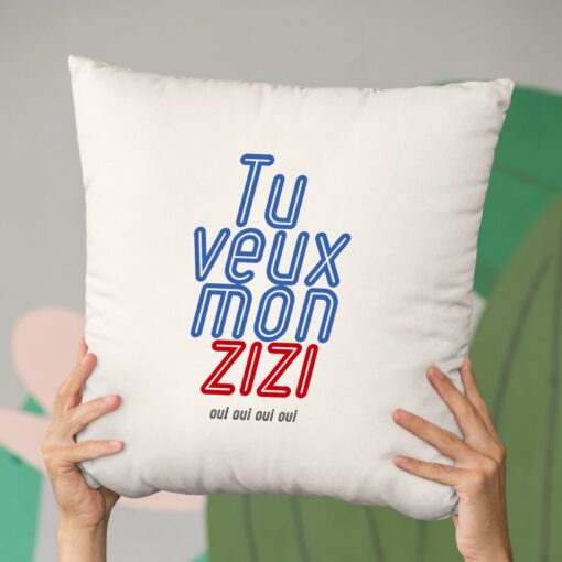 Coussin Tu veux mon zizi