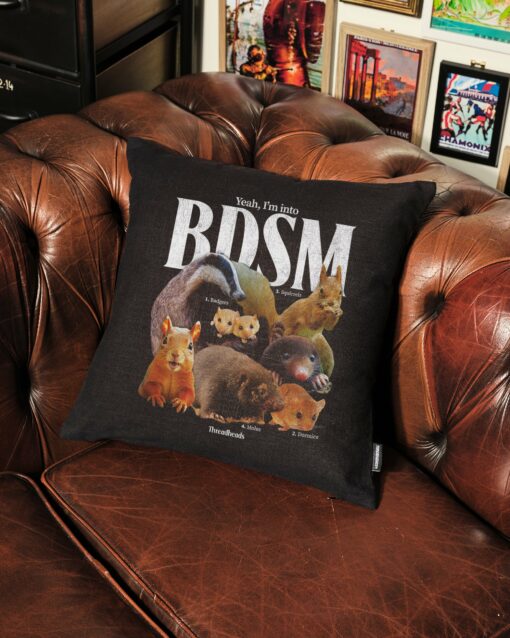 BDSM Cushion