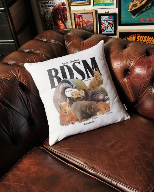 BDSM Cushion