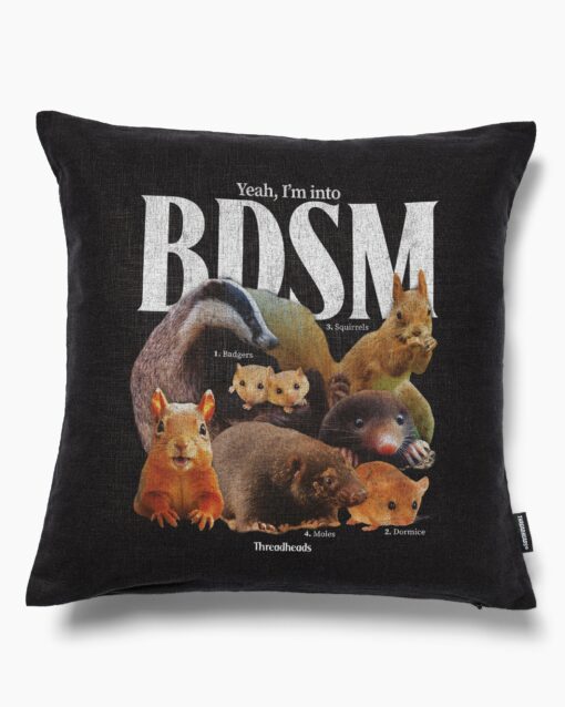 BDSM Cushion