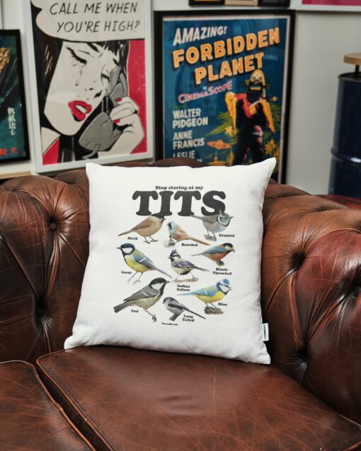 Stop Staring At My Tits Cushion